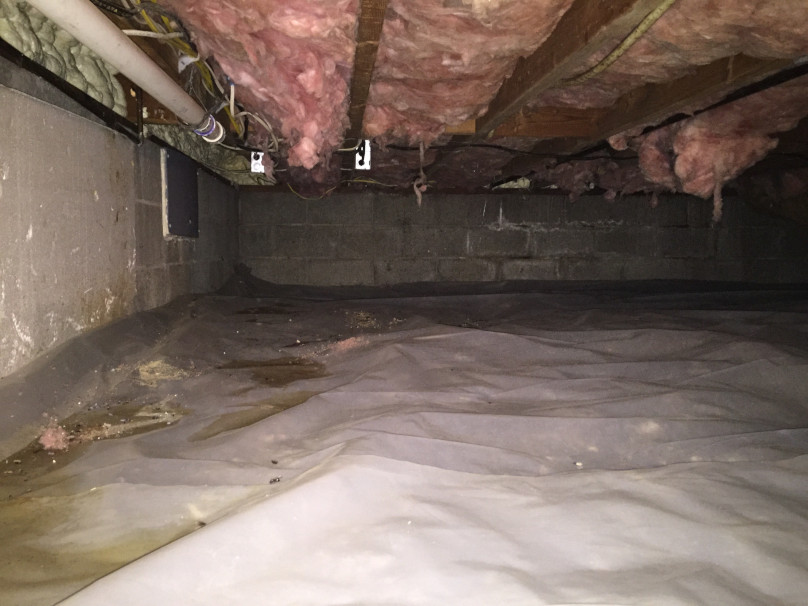 nasty crawl space